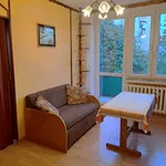 Rent 2 bedroom apartment of 29 m² in Chełm