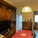 Rent 2 bedroom apartment of 55 m² in Torino