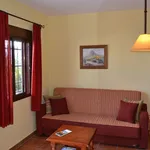 Rent 1 bedroom apartment of 35 m² in Cadiz']