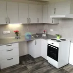 Rent 1 bedroom apartment of 35 m² in Ostrava