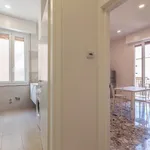 Rent 4 bedroom apartment in Bologna