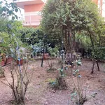 3-room flat excellent condition, ground floor, Rescaldina