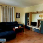 Rent 5 bedroom house of 140 m² in Arezzo