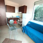 Studio of 27 m² in Mytilene Municipal Unit