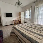 Rent 4 bedroom apartment of 100 m² in Campobasso