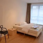  appartement avec 2 chambre(s) en location à Brussels