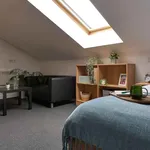 Rent 1 bedroom apartment in Coventry