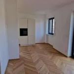 Rent 3 bedroom apartment of 120 m² in Turin