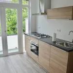 Rent 2 bedroom apartment of 60 m² in Den Haag