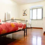 Rent 2 bedroom apartment of 45 m² in Torino