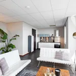 Rent 2 bedroom apartment of 65 m² in Groenoord