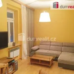 Rent 1 bedroom apartment in Capital City of Prague