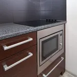 Rent 1 bedroom apartment of 37 m² in Brno