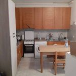 Rent 1 bedroom apartment of 30 m² in Modena