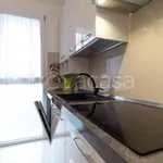 Rent 2 bedroom apartment of 56 m² in Mandello del Lario