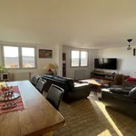 Rent 1 bedroom apartment in LE GRAU-DU-ROI