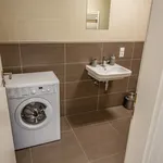 Pronajměte si 1 ložnic/e byt o rozloze 55 m² v Prague