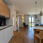 37 m² Studio in berlin