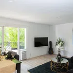 Rent 4 bedroom apartment in Westwood