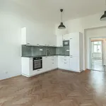 Rent 3 bedroom apartment of 70 m² in Capital City of Prague