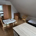 Rent 1 bedroom apartment in Brno