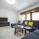 Rent a room of 170 m² in madrid