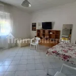 Rent 3 bedroom apartment of 80 m² in Novara