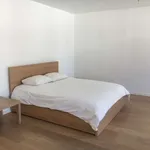 Huur 3 slaapkamer appartement van 150 m² in brussels