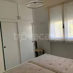 Rent 3 bedroom apartment of 60 m² in Riccione