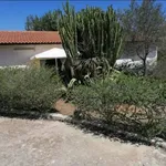 Rent 5 bedroom house of 110 m² in Noto