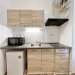 Rent 1 bedroom apartment of 23 m² in Brno