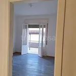 Rent 4 bedroom apartment of 100 m² in Trento