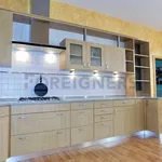 Pronajměte si 1 ložnic/e byt o rozloze 94 m² v Pilsen