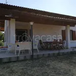 Rent 3 bedroom house of 120 m² in Amendolara