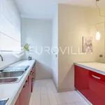 Rent 2 bedroom apartment of 97 m² in Zagreb