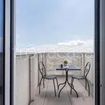 Rent 2 bedroom apartment of 50 m² in Venezia