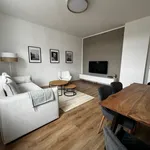 Rent 2 bedroom apartment of 57 m² in Magdeburg