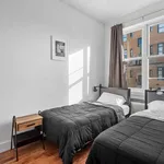 Rent 1 bedroom apartment in New York