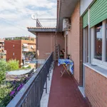 Rent 4 bedroom apartment in Rome