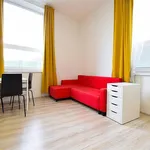 Rent 1 bedroom apartment of 36 m² in Brno