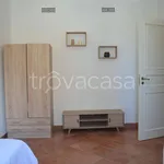 Rent 3 bedroom apartment of 80 m² in Noto