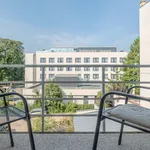 Pronájem bytu 2+kk, 64 m² na Riegrově náměstí, Poděbrady