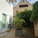 Rent 3 bedroom apartment of 1561 m² in Heidelberg