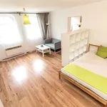 Rent 1 bedroom apartment of 37 m² in Chorzów