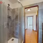 Rent 2 bedroom apartment of 43 m² in Mariánské Hory a Hulváky