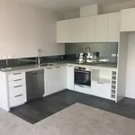 Rent 1 bedroom house in Albert-Eden