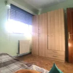 Rent a room in madrid