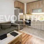 Rent 2 bedroom apartment of 70 m² in Sofia