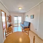 Alquilo 1 dormitorio apartamento de 45 m² en Torrevieja