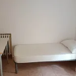 Rent 2 bedroom apartment of 20 m² in Modena